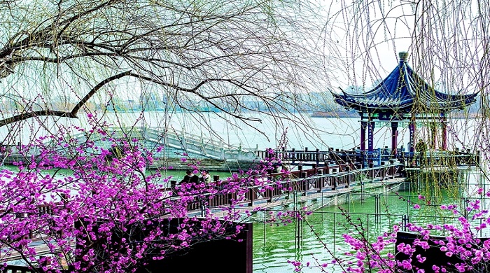 濕地公園 春景如畫2.jpg